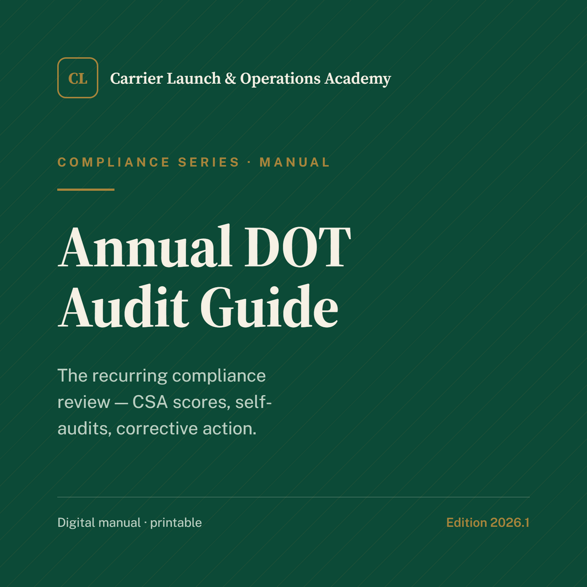 Annual DOT Audit Guide